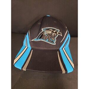 Carolina Panthers Blue and Black Reebok NFL Adjustable Cap